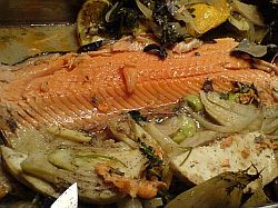 auf vielerlei Wunsch: Lachsforelle