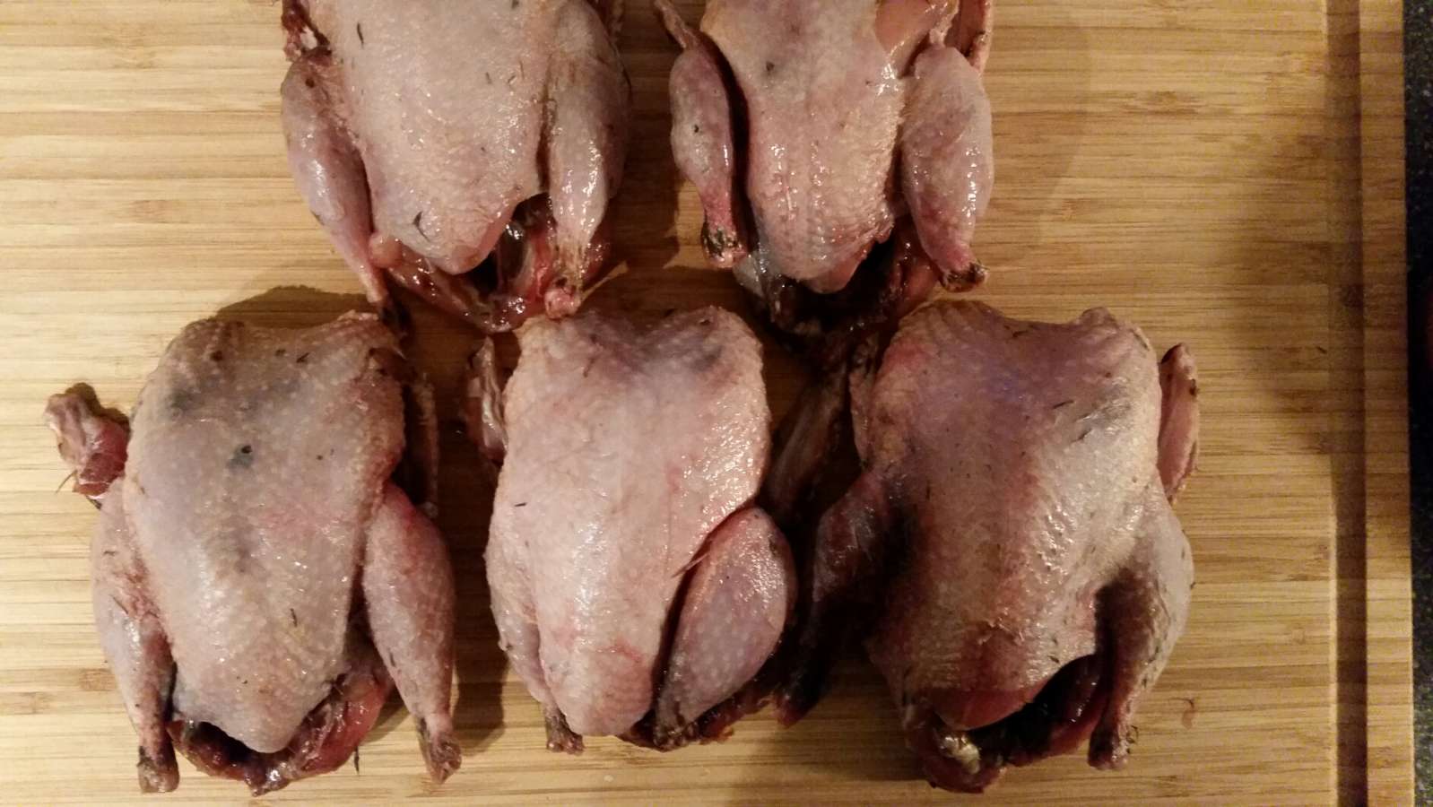 Rebhuhn - mit besten Grüßen vom gestiefelten Kater